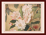 花卉 工笔画
