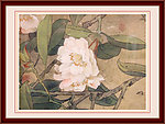 花卉工笔画