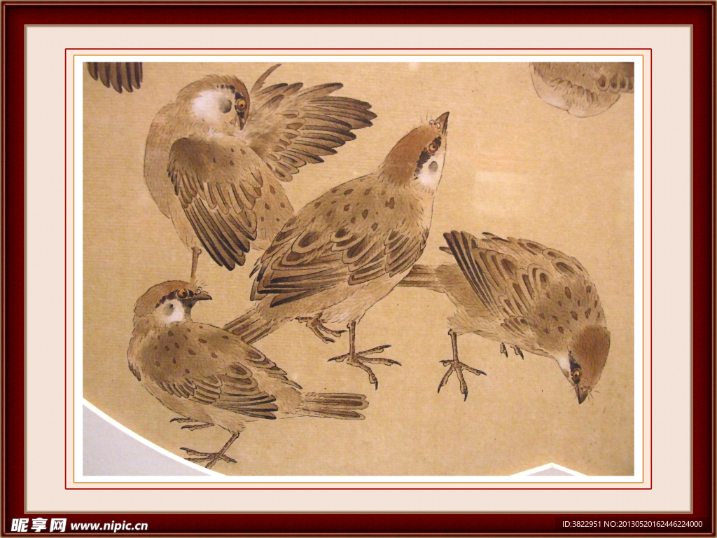 小鸟工笔画