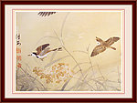 飞鸟工笔画