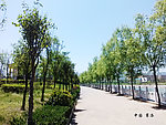 商洛景观