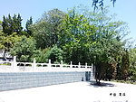 商洛景观