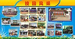 学校海报