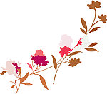 花纹