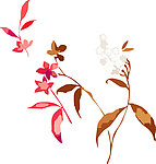 花纹