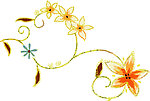 花纹