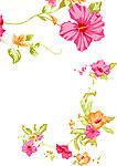 花纹
