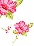花纹