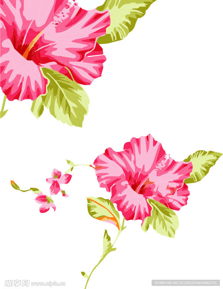 花纹