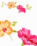 花纹