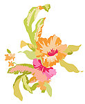 花纹