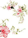 花纹