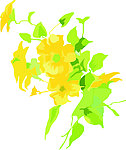 花纹