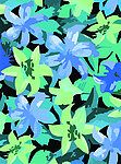 花纹