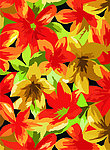 花纹
