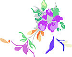 花纹