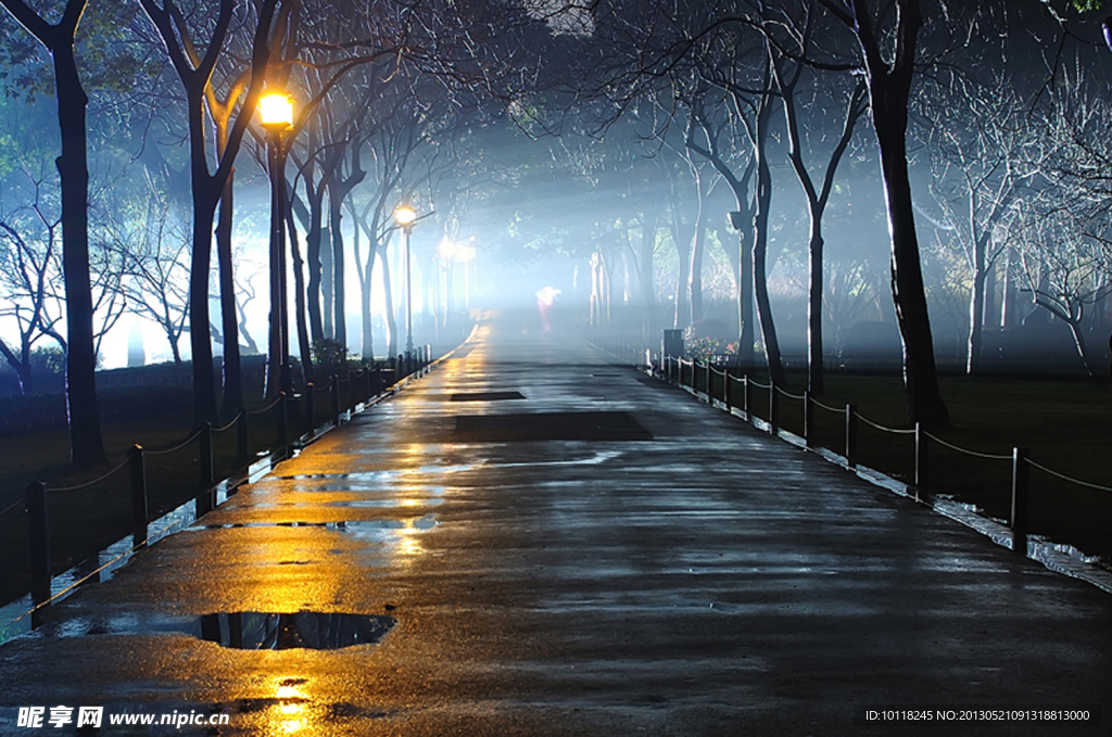 黑夜的道路