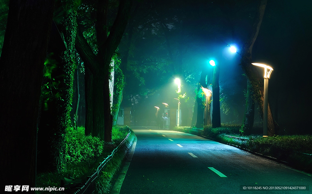 黑夜的道路