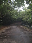 林荫路