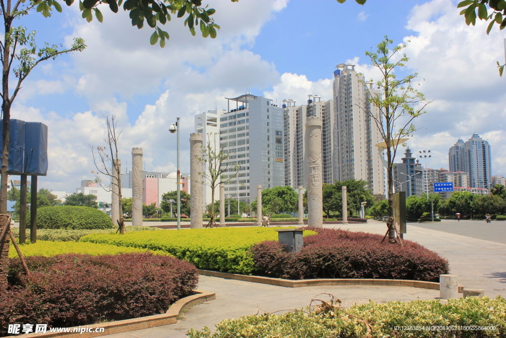 园林 花坛