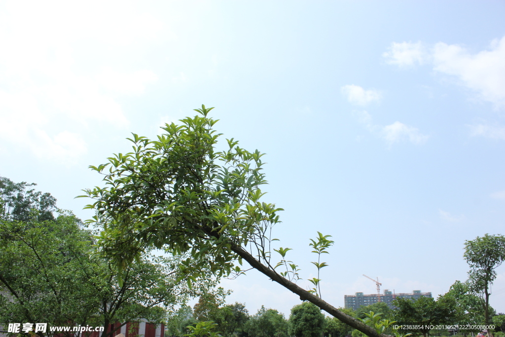 天空