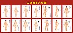 穴位图