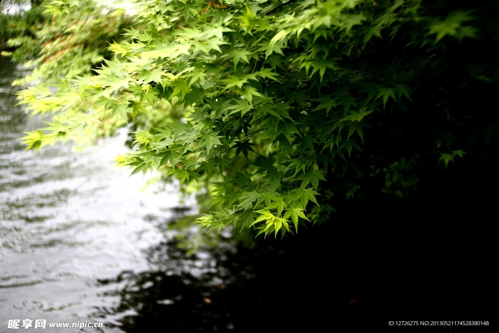 湖边水岸