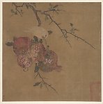 石榴蜡嘴图