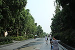 浣花溪公园 大路