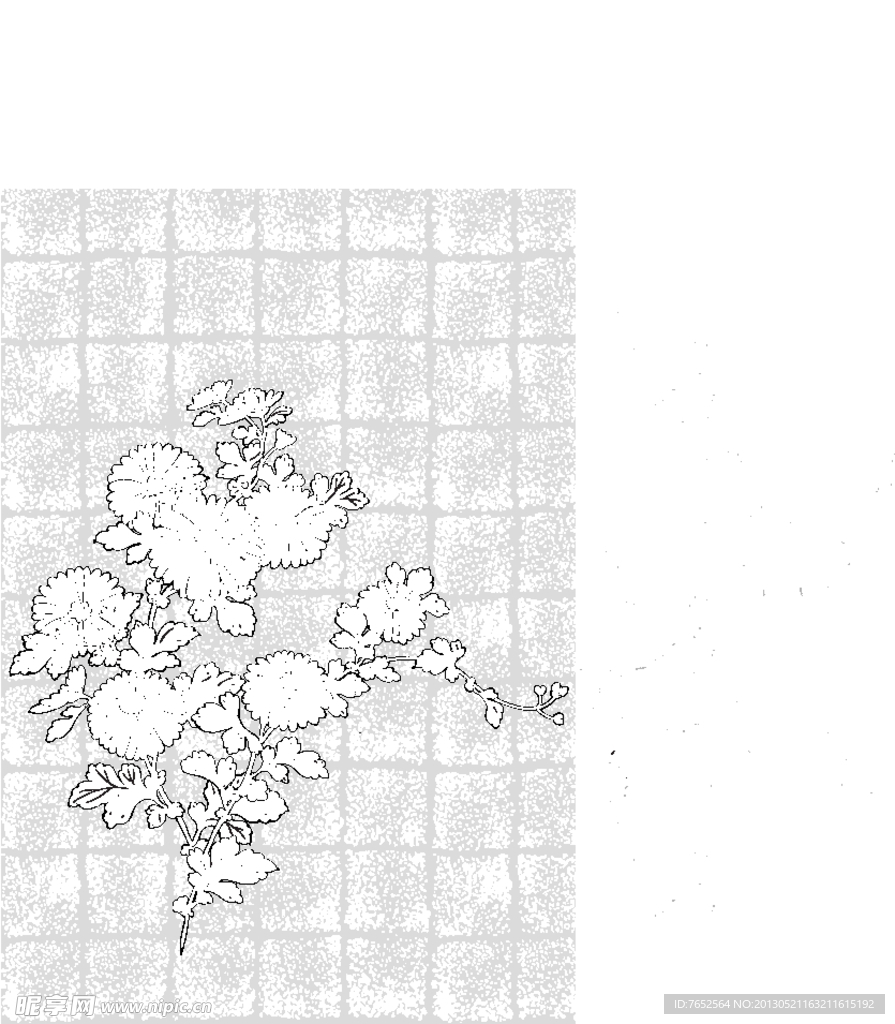 花纹