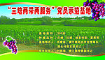 葡萄示范基地