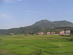 田野 风景