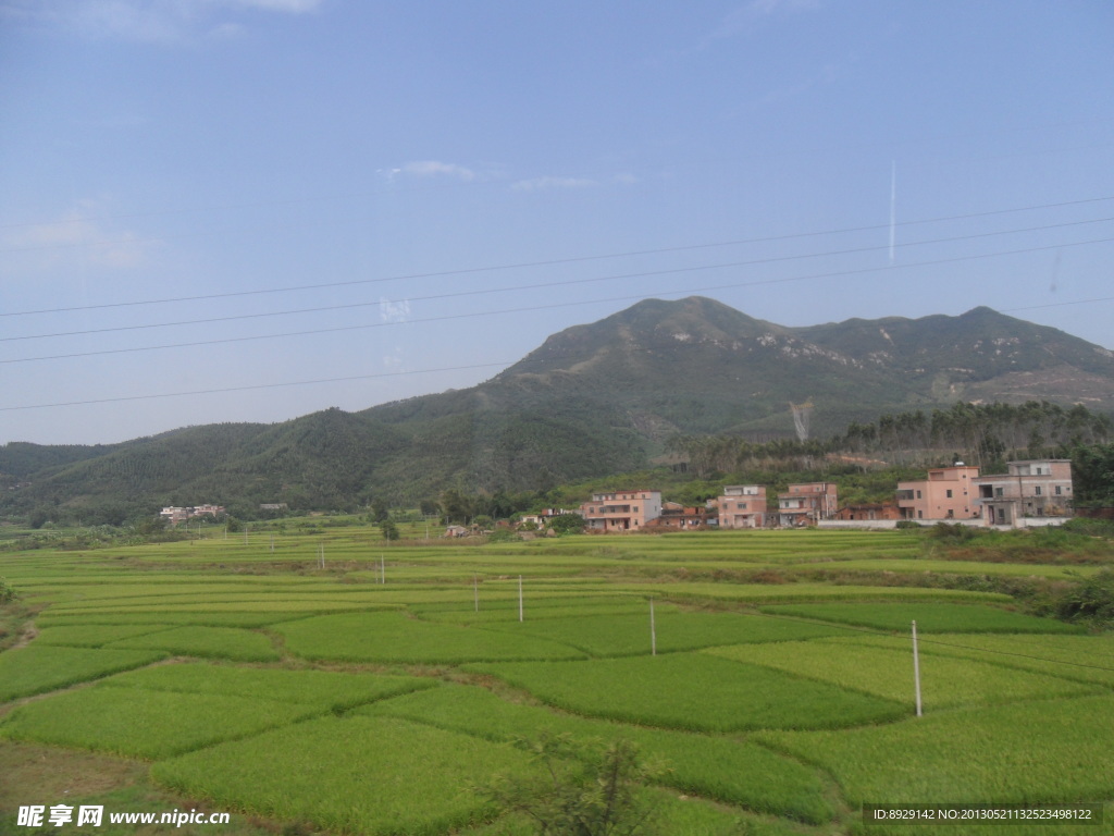 田野 风景