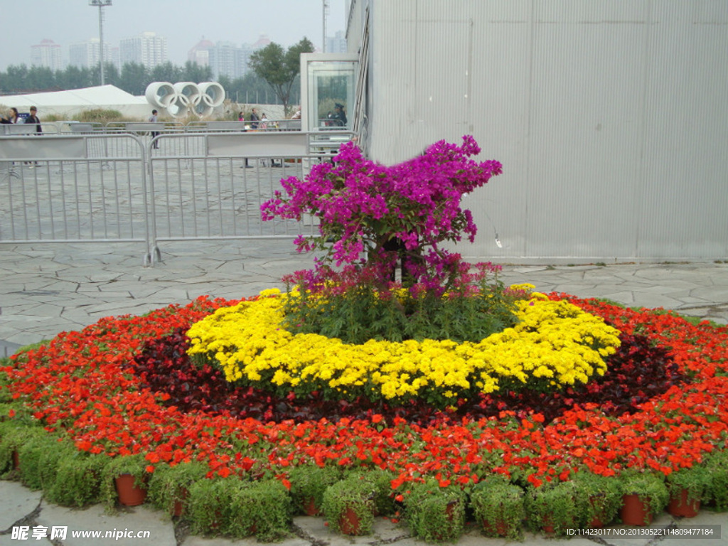 花坛
