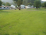草坪