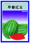 无籽西瓜