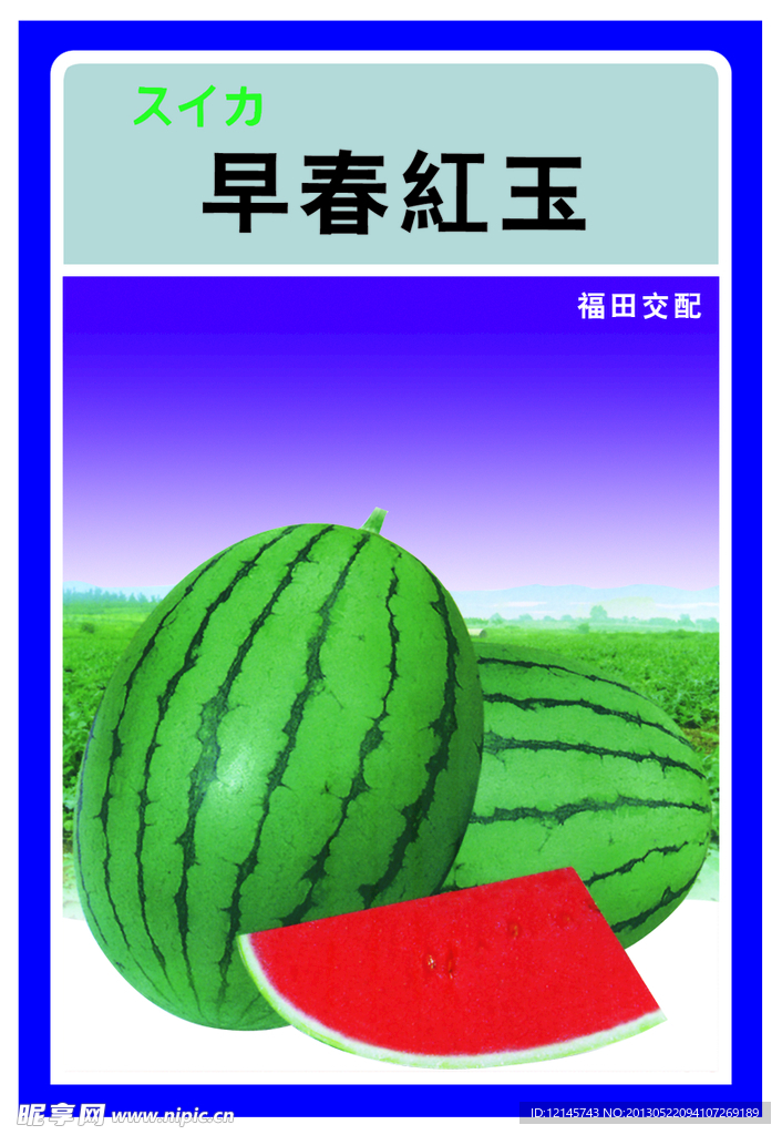 无籽西瓜