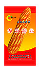 玉米画册图