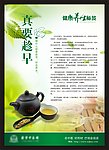 花茶单页