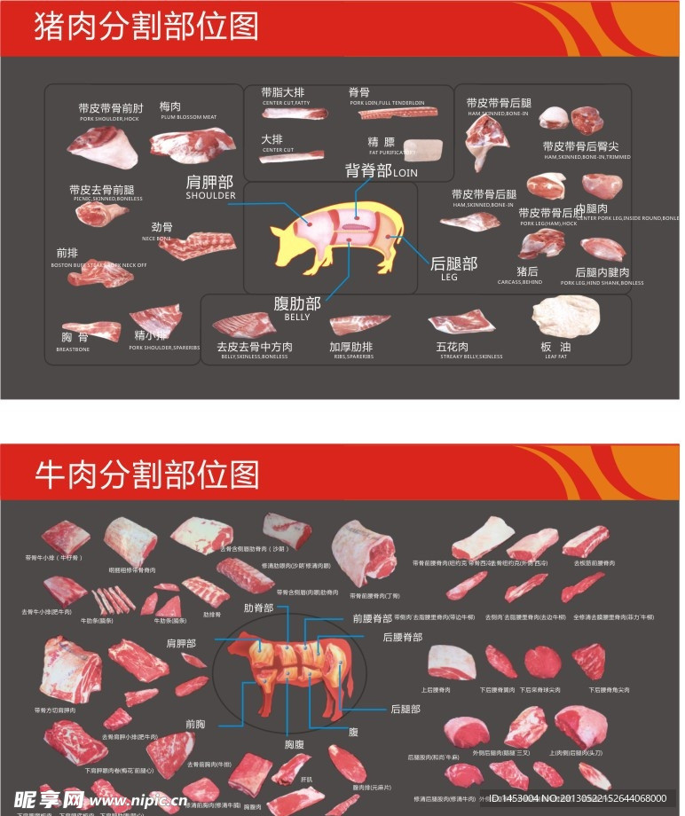 猪肉及牛肉分割图