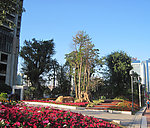 花园小区