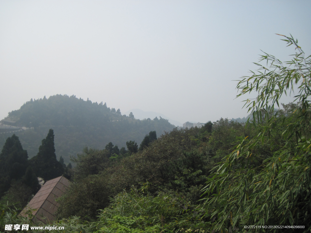 青山树绿