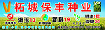 保丰种业