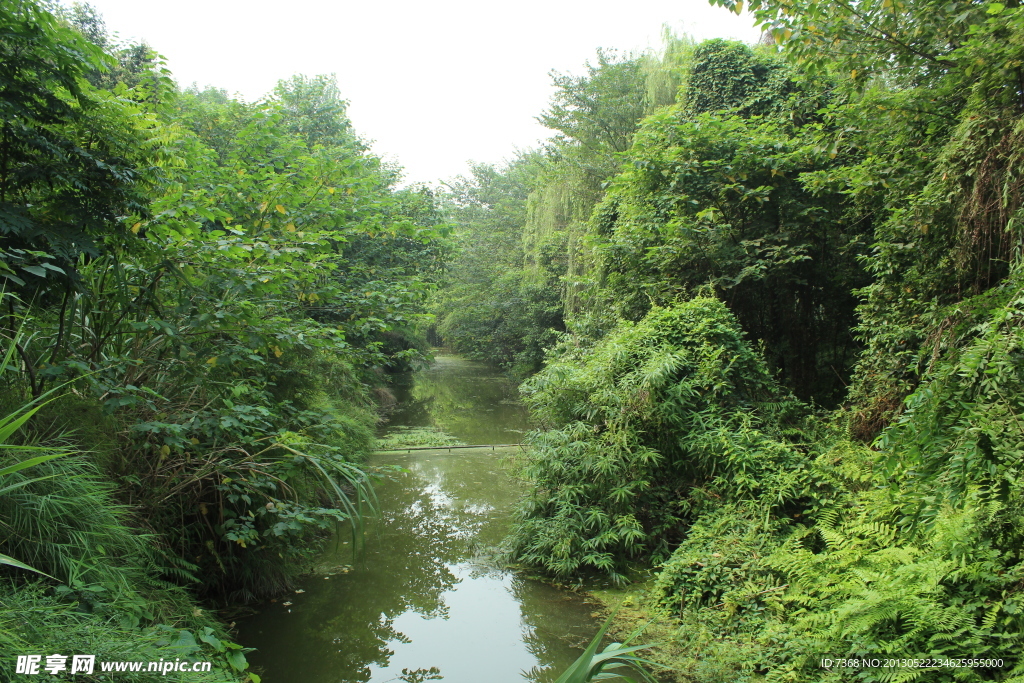 成都浣花溪公园