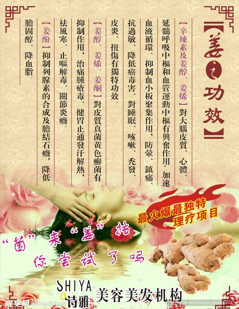 姜之功效 海报