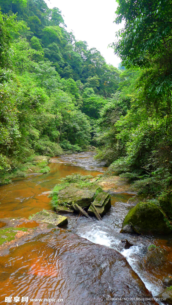 赤水狮子岩景区风光