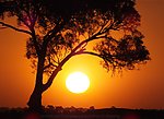 太阳