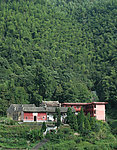 绿林