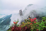 山景
