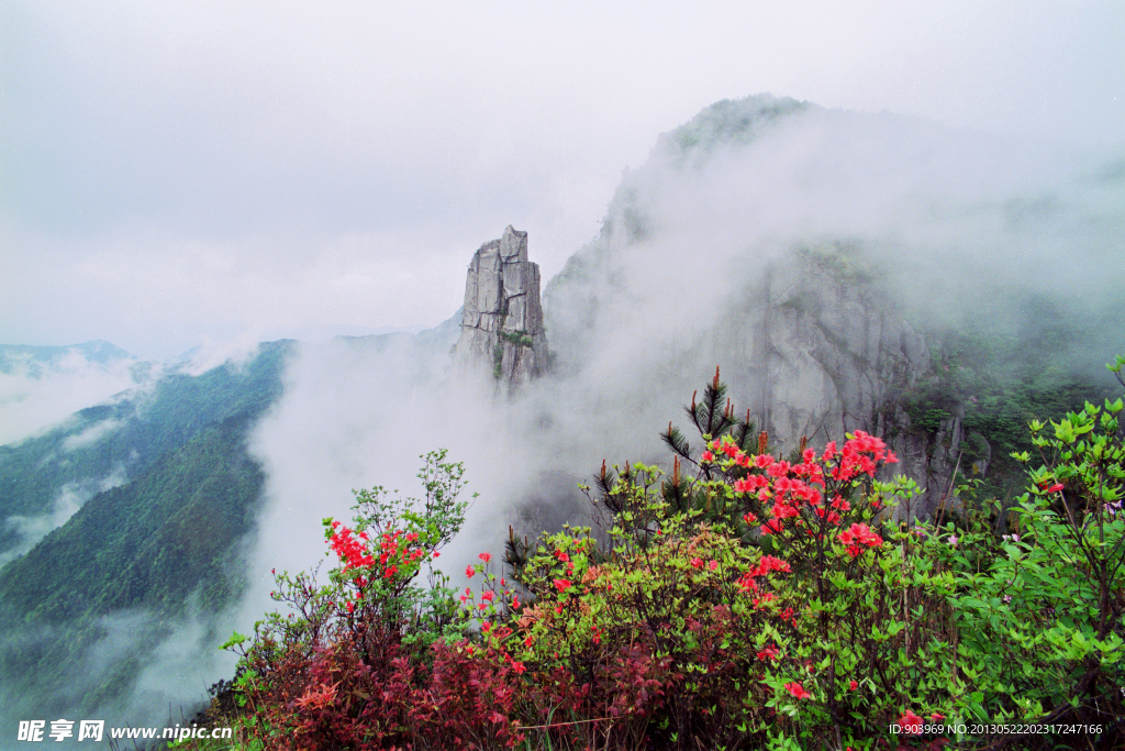 山景